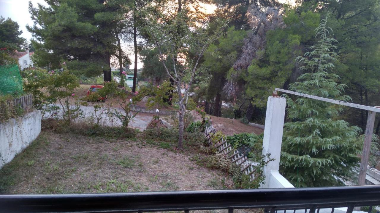 2-Bed Maisonette In Pine Forest, 250M From Beach Between Skala Fourka And Siviri Villa Skala Fourkas Exterior photo